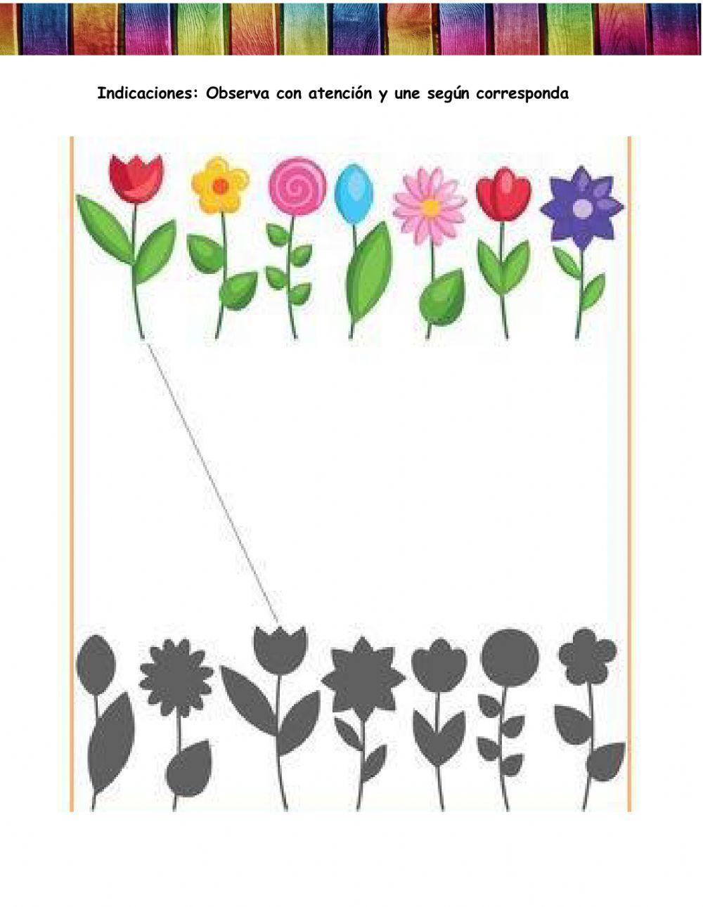 Ámbito Relaciones  Lógico Matemático