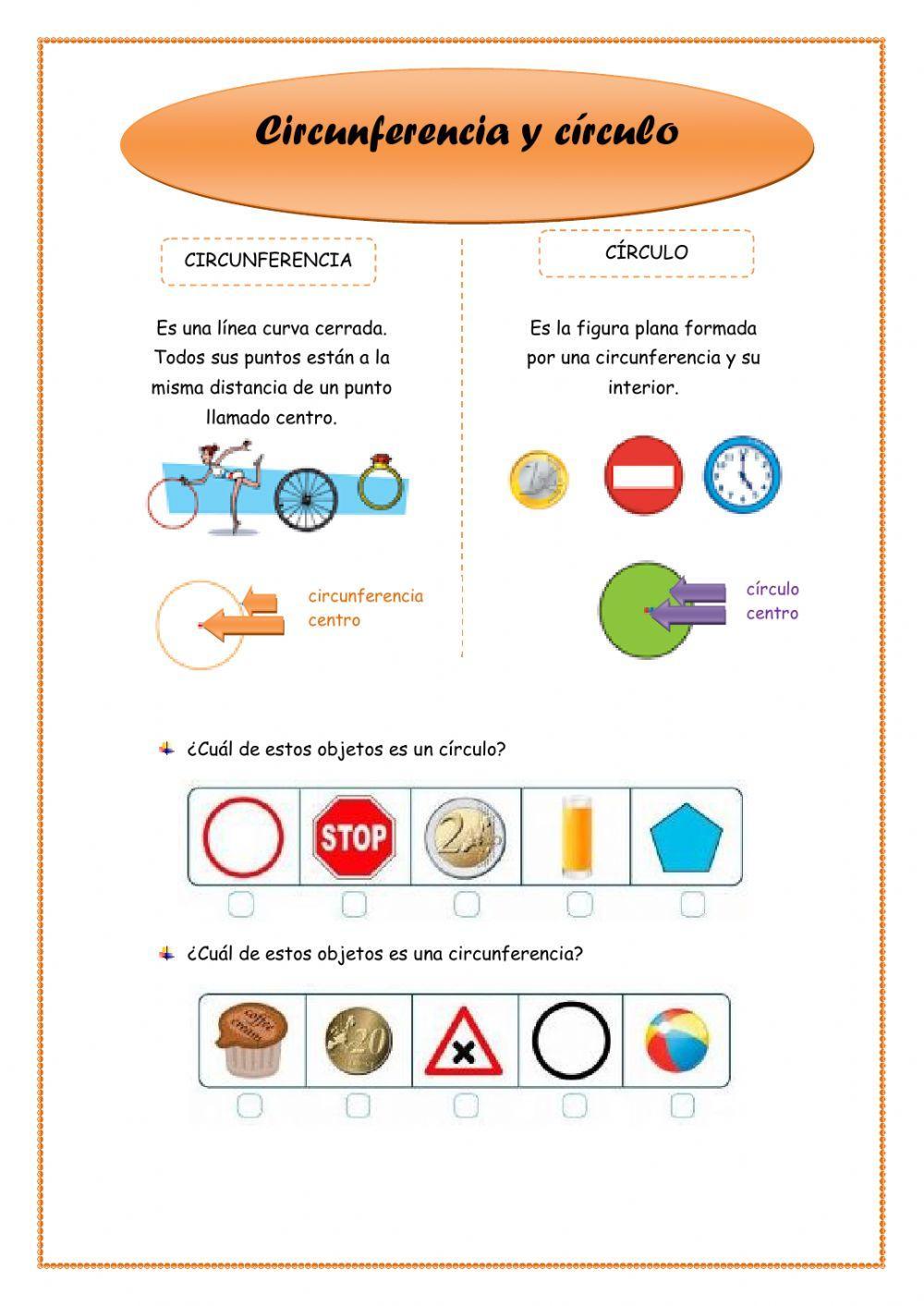 La circunferencia y el círculo