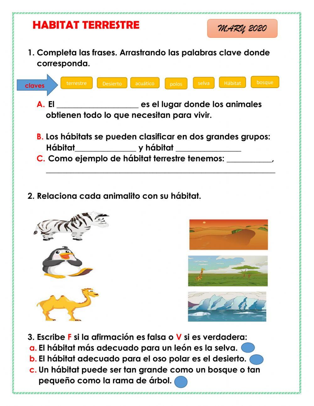 Animales hábitat terrestre 1°