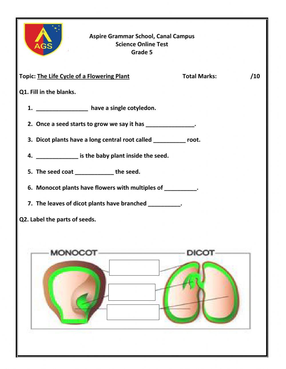 The life cycle of a flowering plant