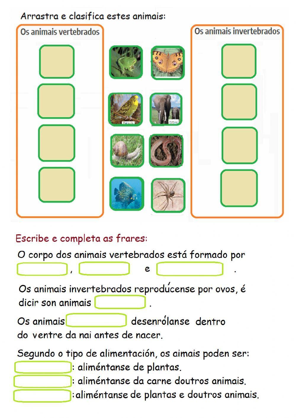 Animais Animais