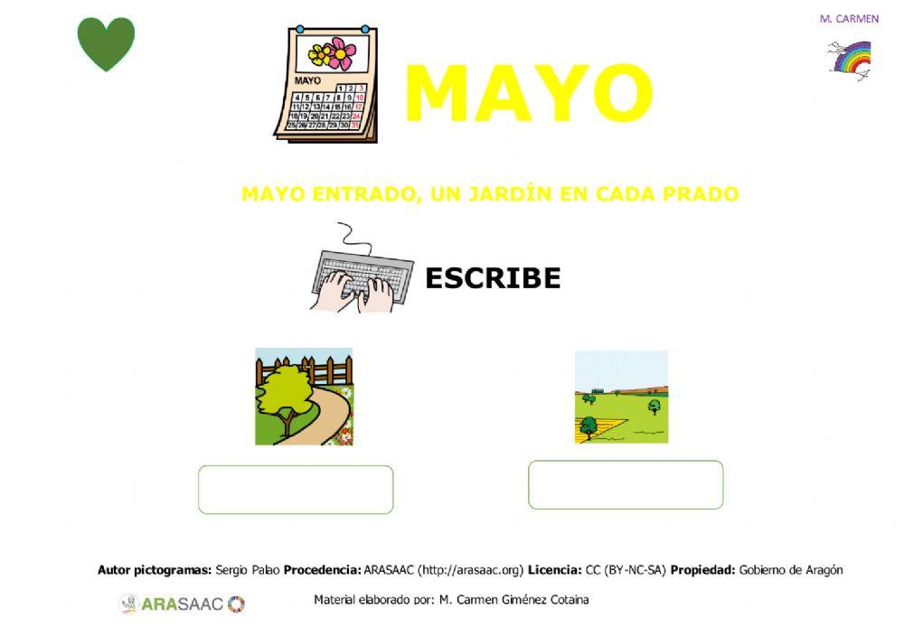 Mayo 1
