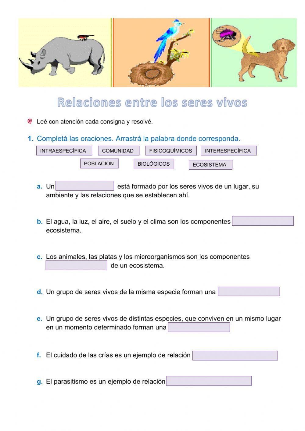 Ficha Relaciones entre los seres vivos