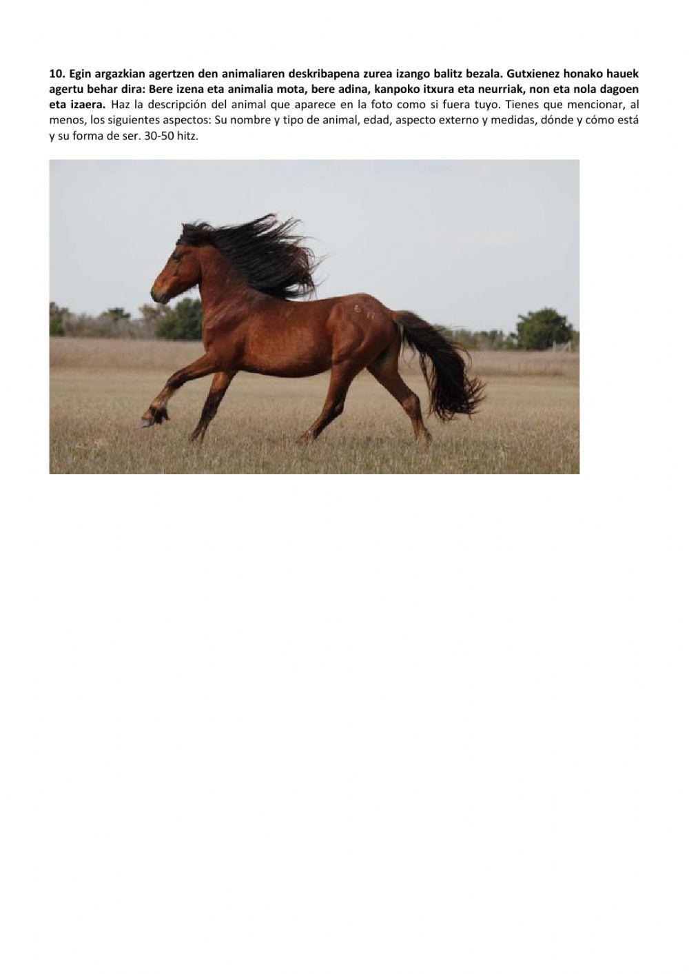 Pendienteak-DBH2-EZOHIKOA