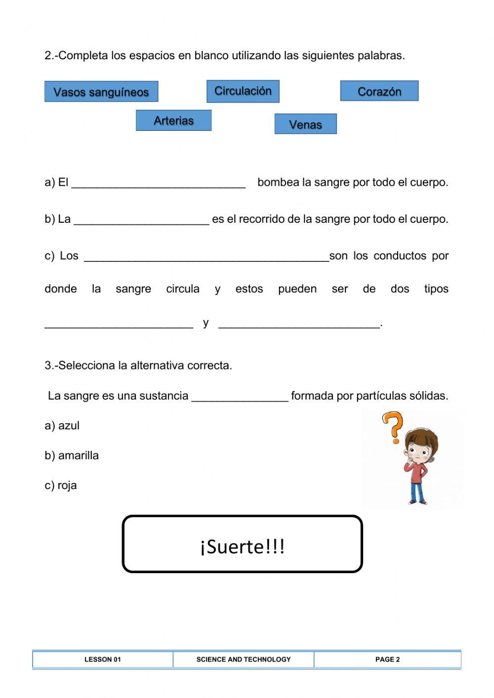 Sistema Circulatorio