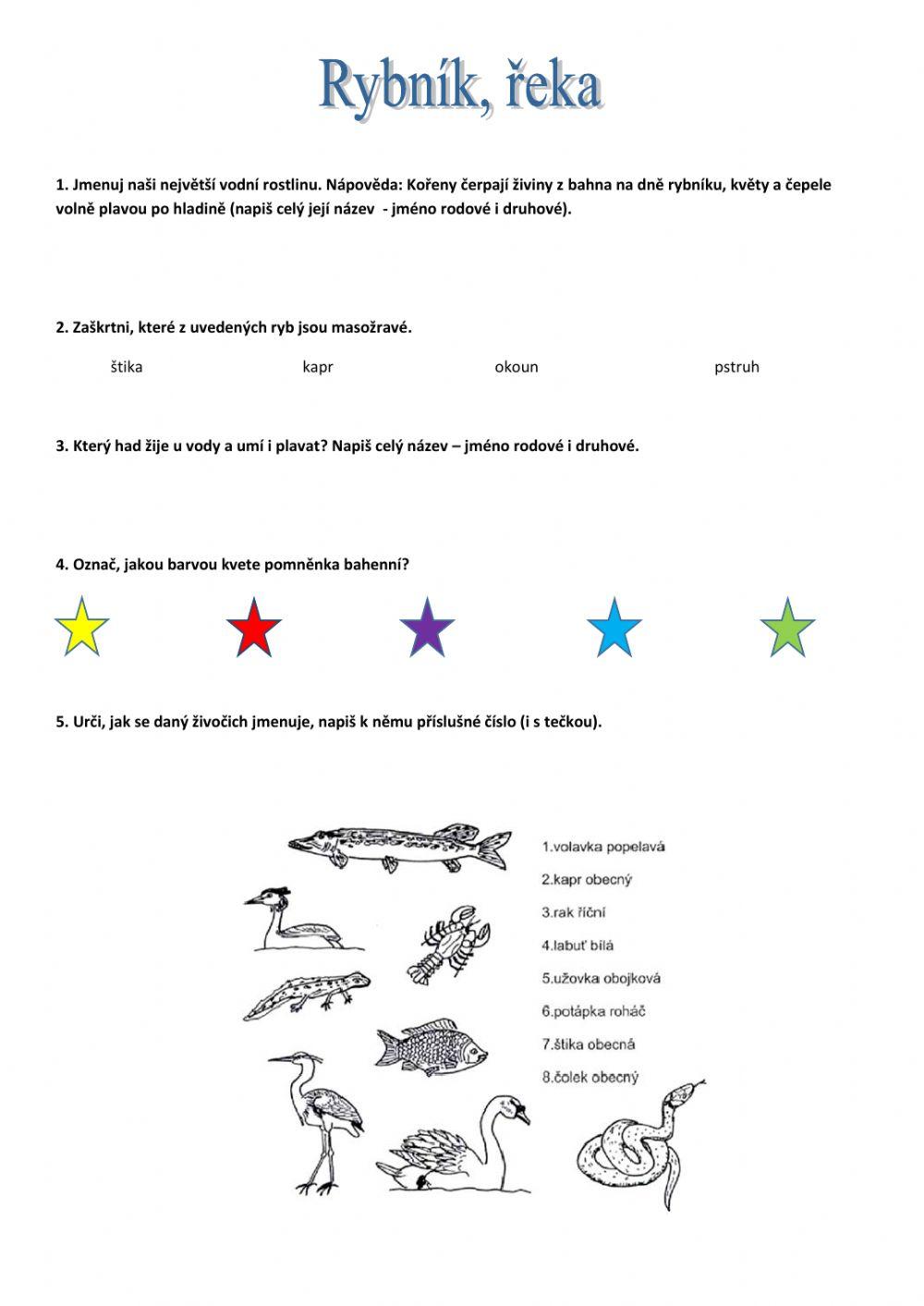 Ekosystém řek, rybník