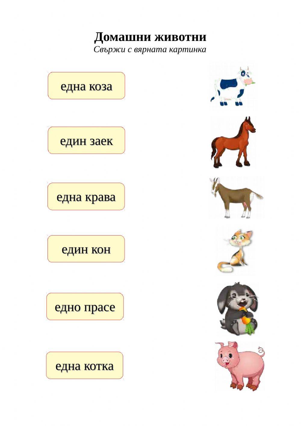 Домашни животни activity | Live Worksheets