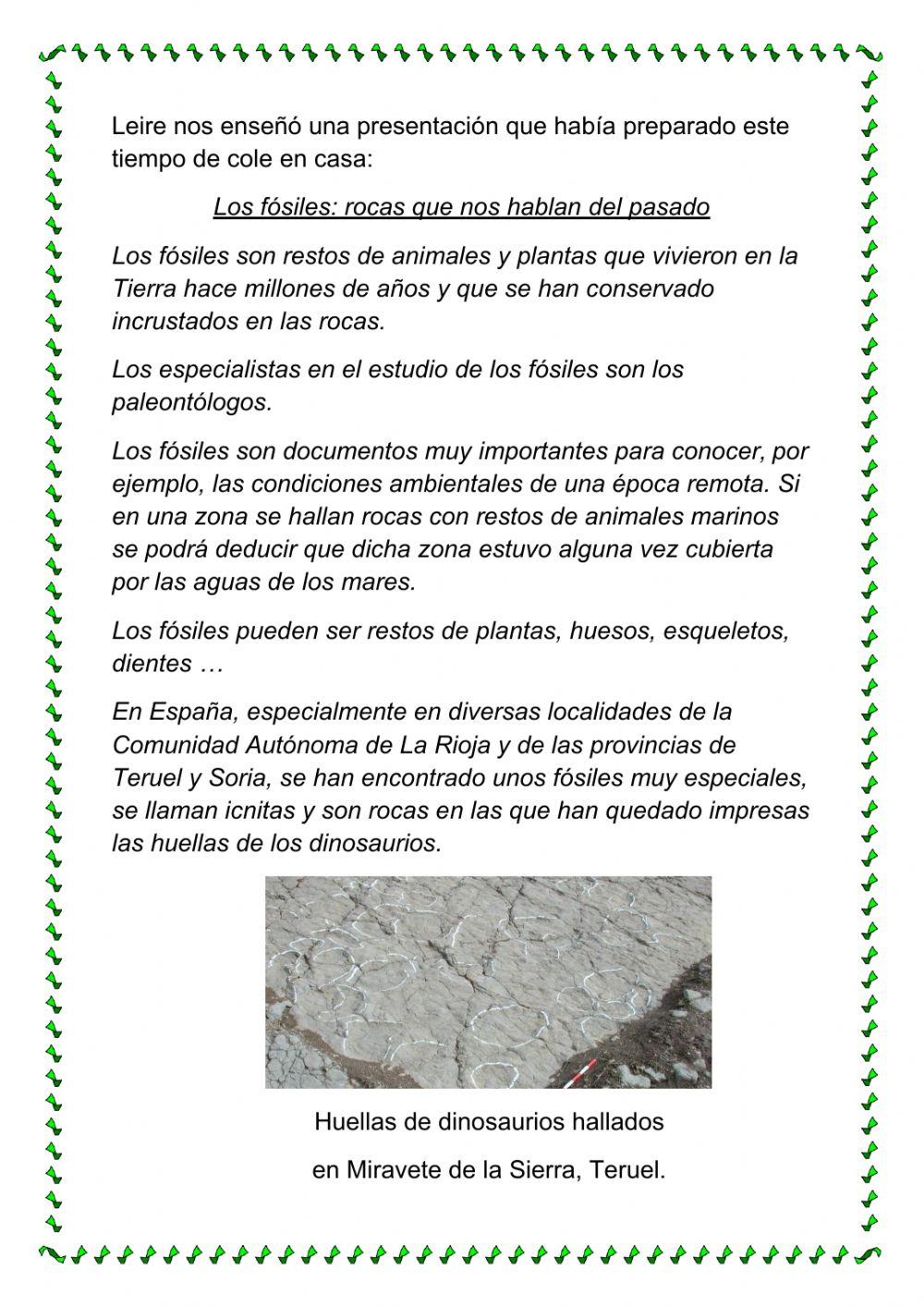 Competencia matemática