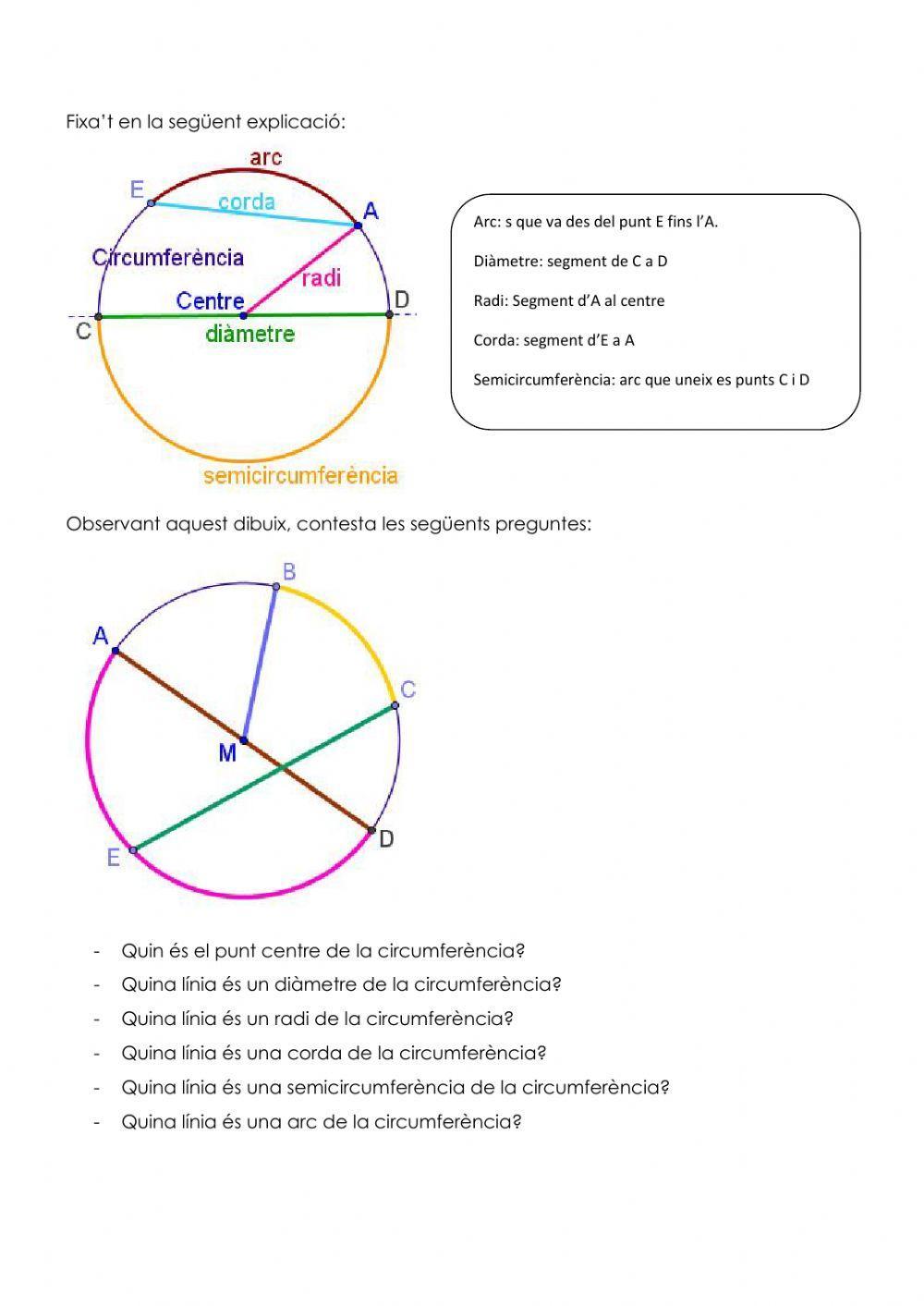 Circumferència Circumferència