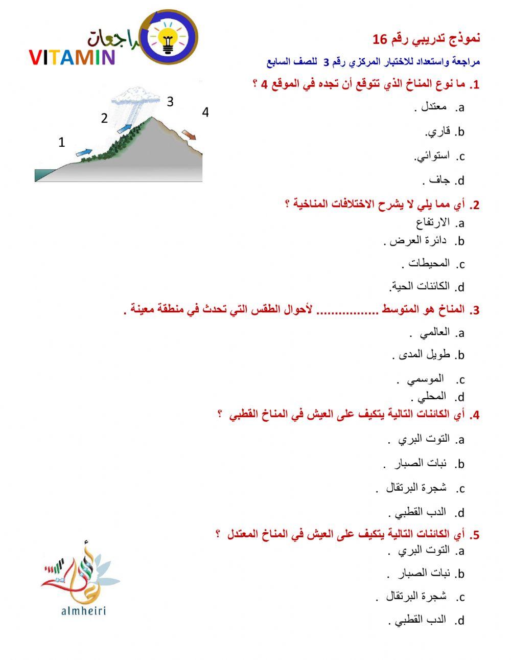 نموذج تدريبي رقم 16  للصف السابع