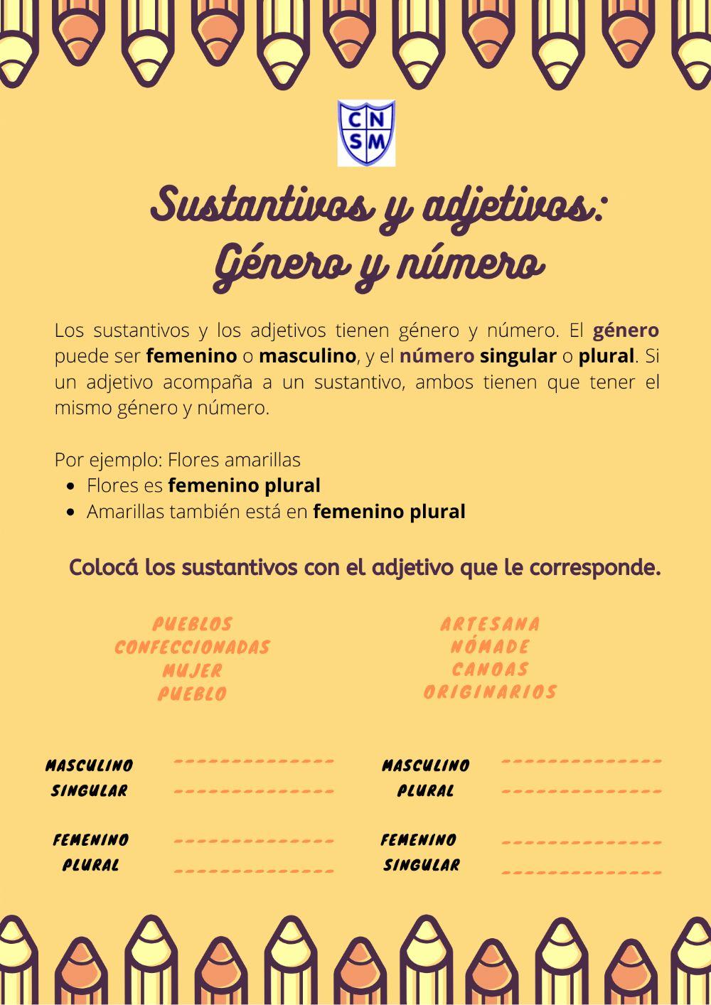 Sustantivos y adjetivos: Género y número