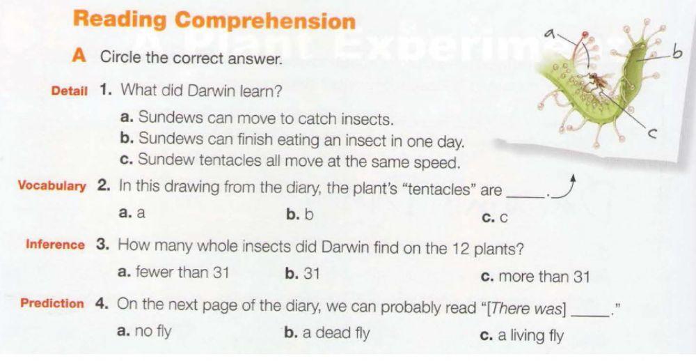 Choose the correct option