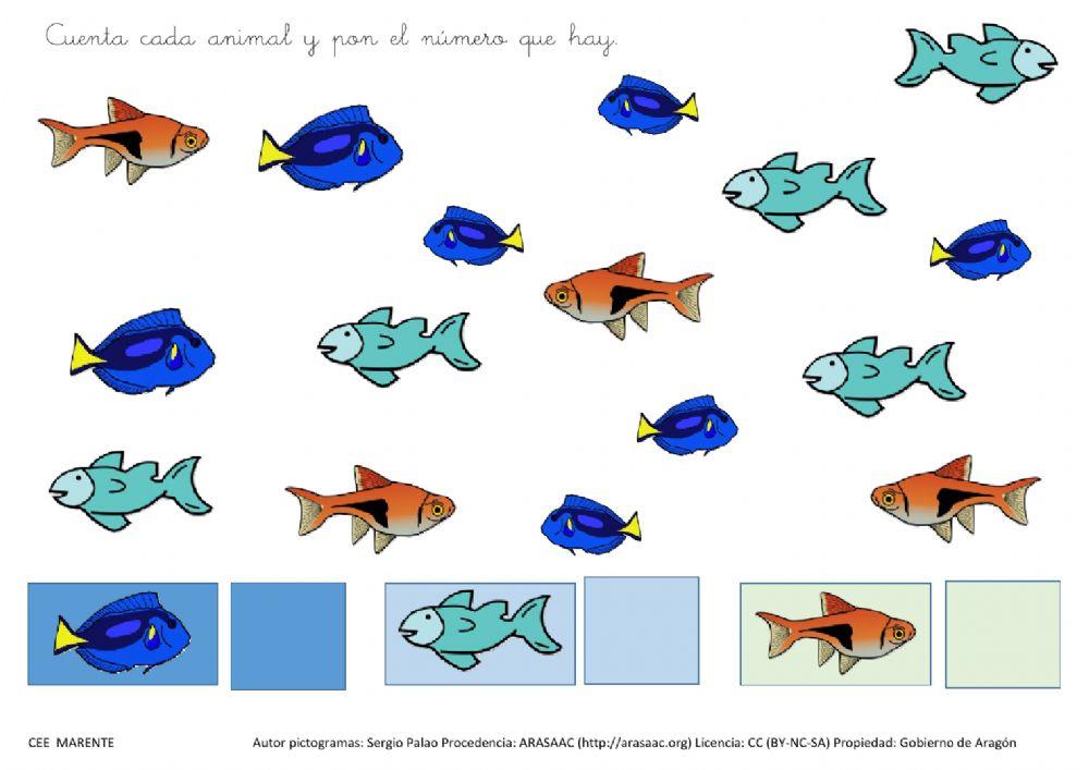 Día de los océanos 2º parte
