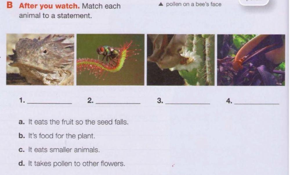 Match each animal to a statement