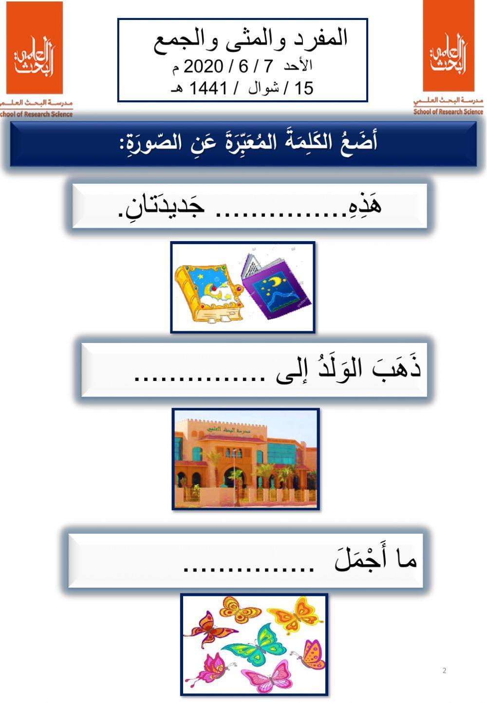 المفرد والمثنى والجمع