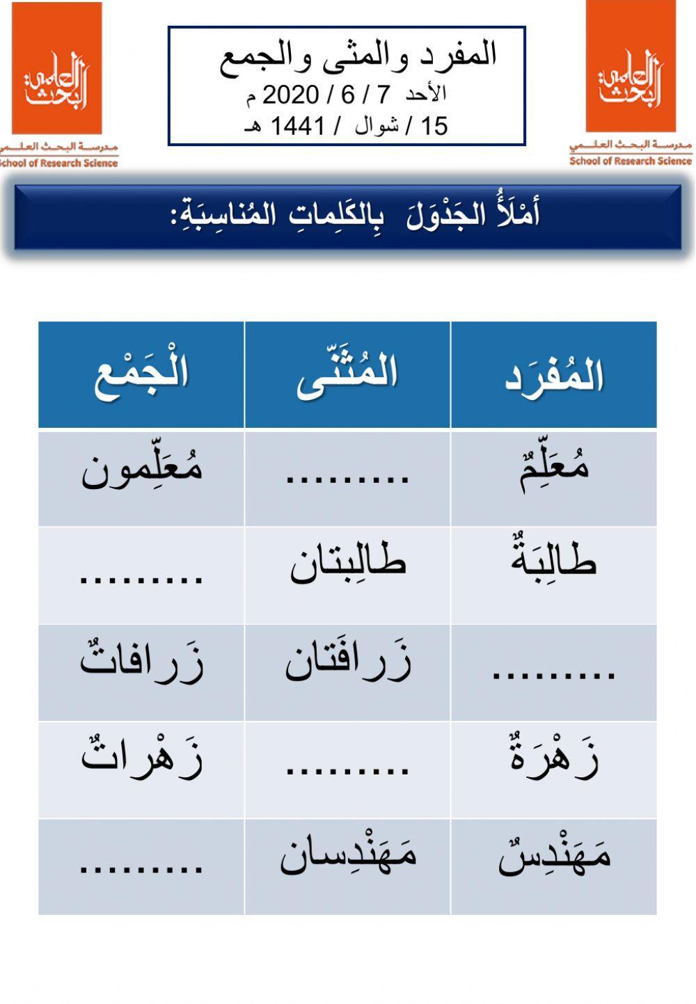 المفرد والمثنى والجمع