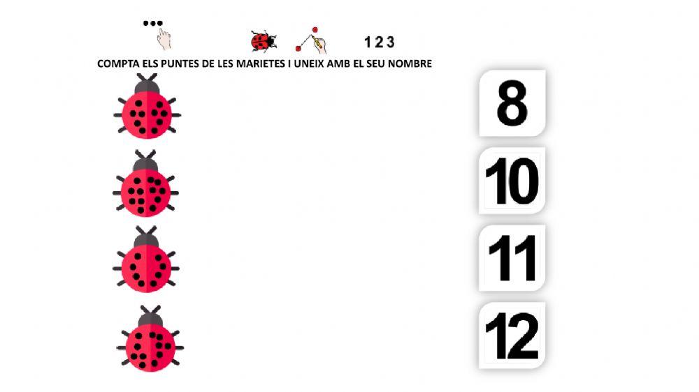 Conceptes matemàtics