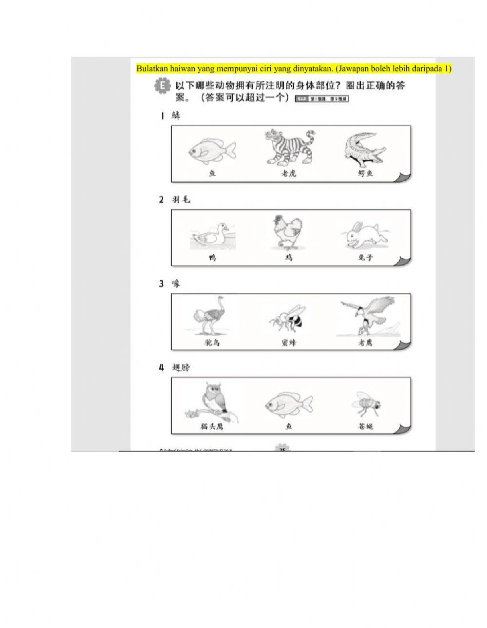 一年级科学-动物