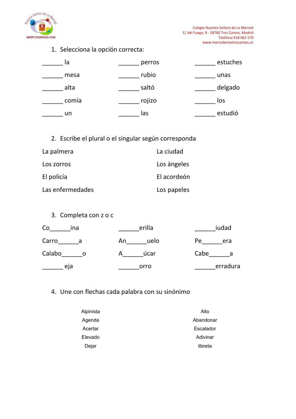 Lengua worksheet for segundo | Live Worksheets