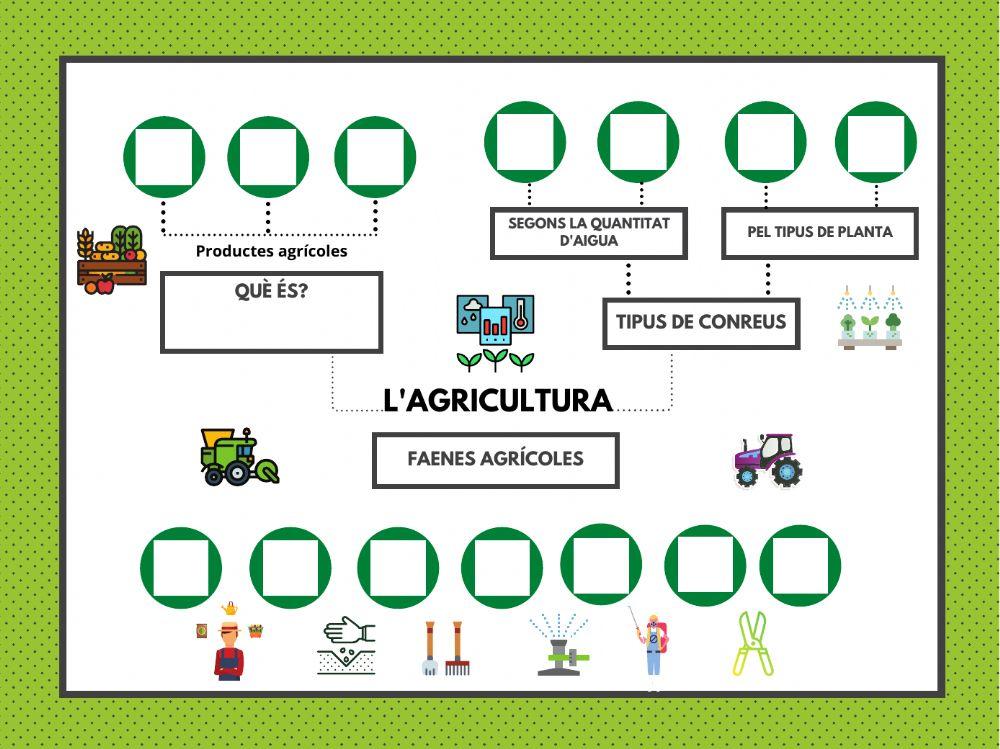 L'agricultura