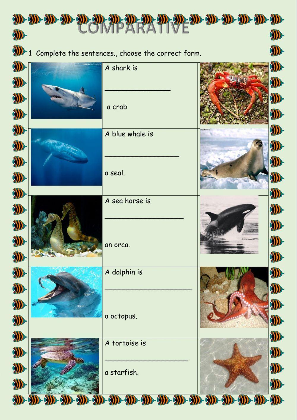 Comparative adjectives