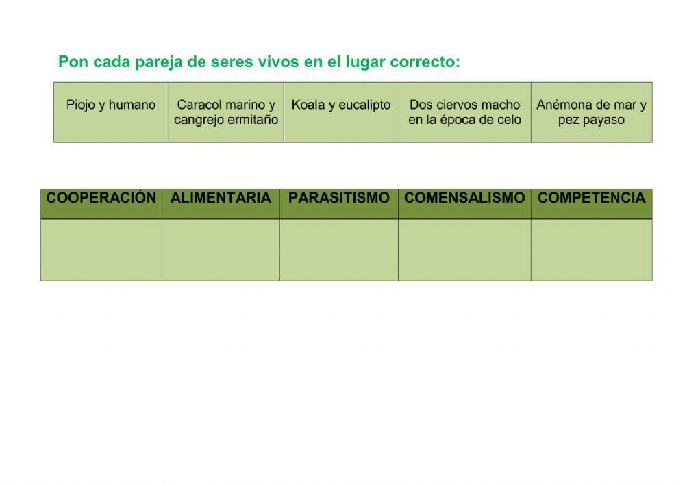 Relaciones en los ecosistemas