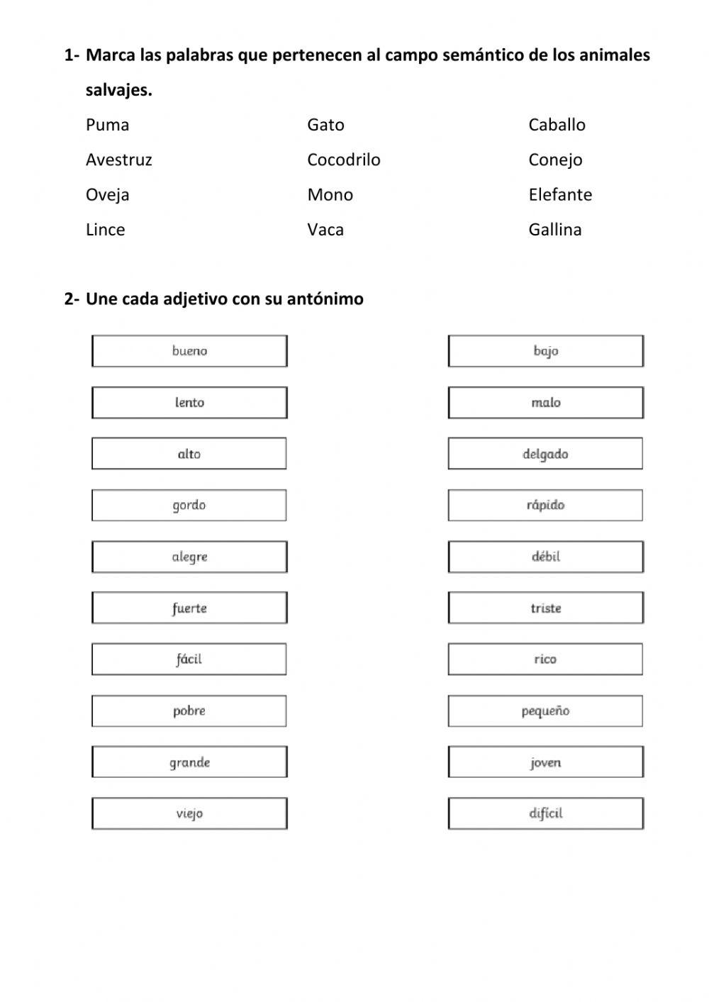 Campo semántico y antónimos