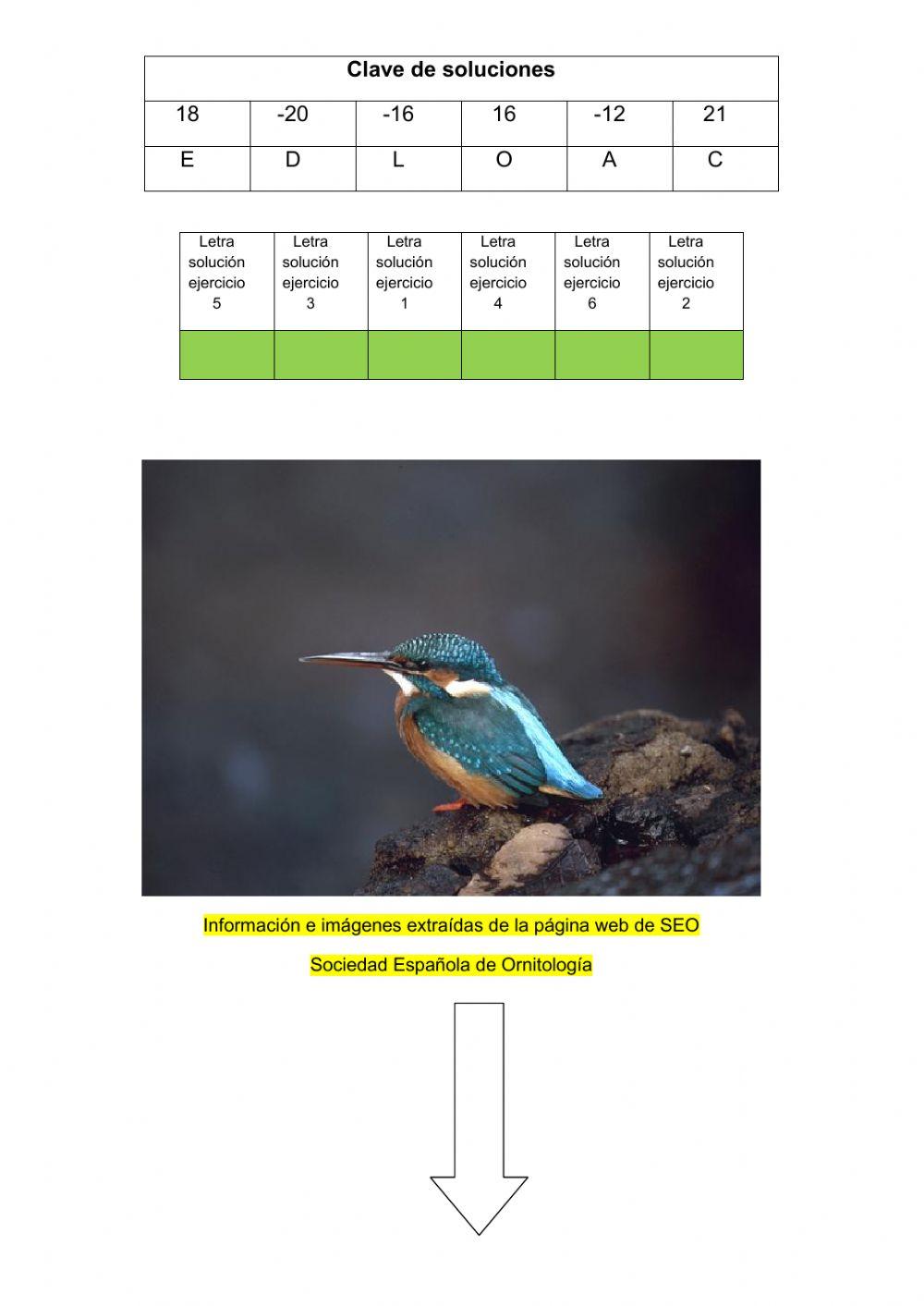 Martín Pescador-Operaciones con números enteros