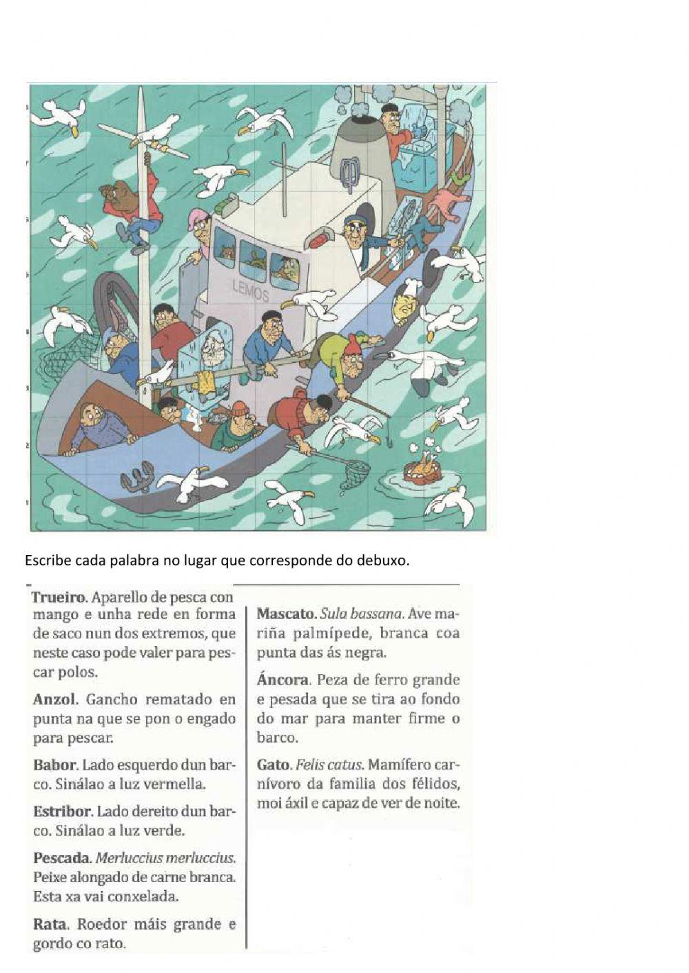 Comprensión lectora gallego -castellano