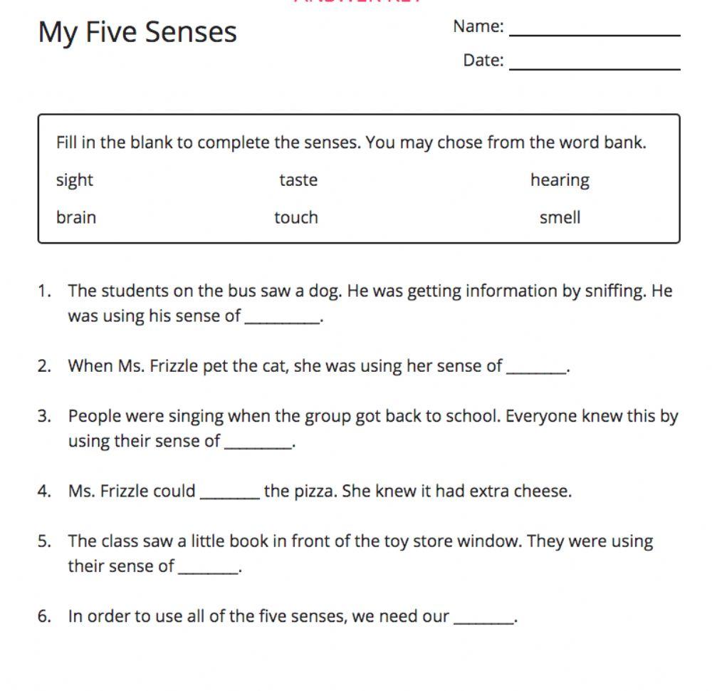 The Magic School Bus Gets Planted Worksheet Answers at NETBRIDGETBLOG Blog