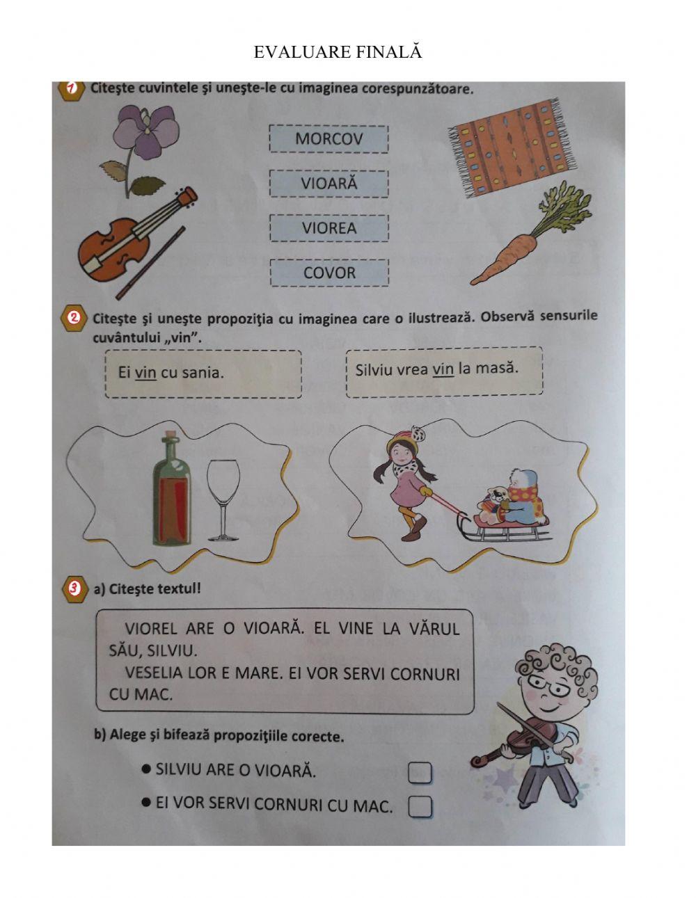 Evaluarea lexiei-grafiei