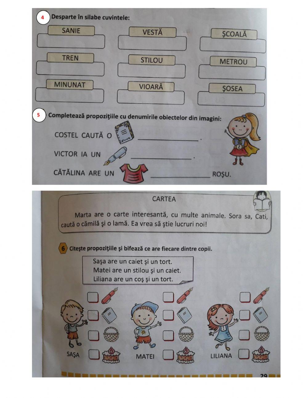 Evaluarea lexiei-grafiei