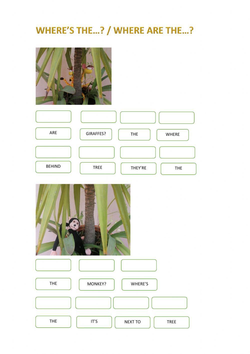 RAINFOREST:WHERE'S THE...-WHERE ARE THE...