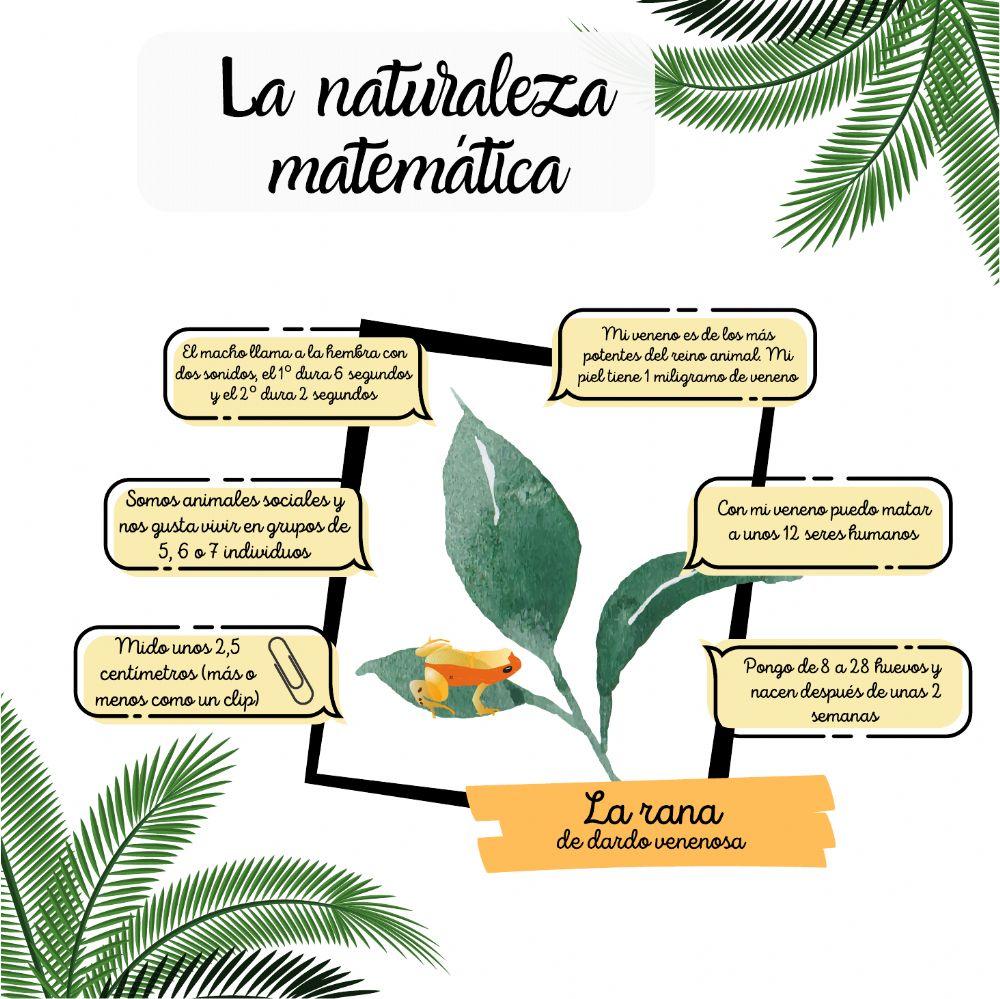 Naturaleza matemática 2 Naturaleza matemática 2