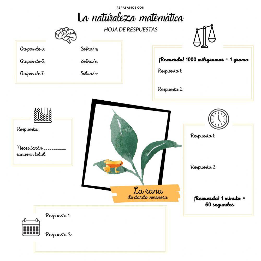 Naturaleza matemática 2 Naturaleza matemática 2