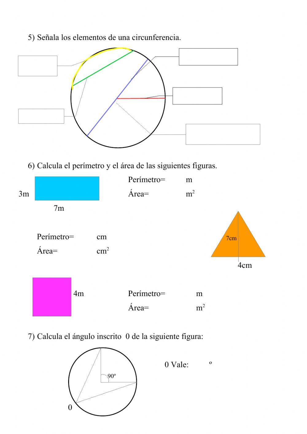 Prueba global matemáticas