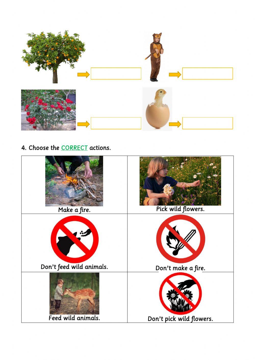 Living and non-living things