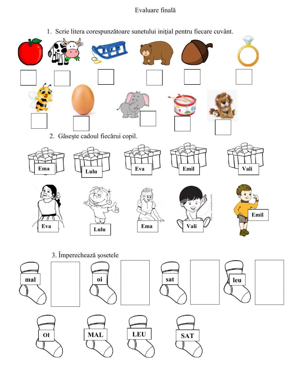 Evaluarea lexiei-grafiei a-l (meixner)