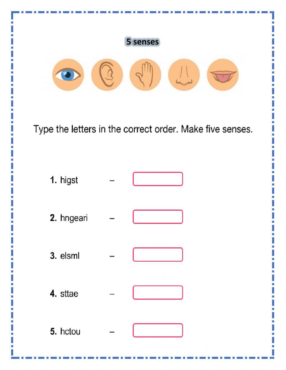 Unscrumble five senses