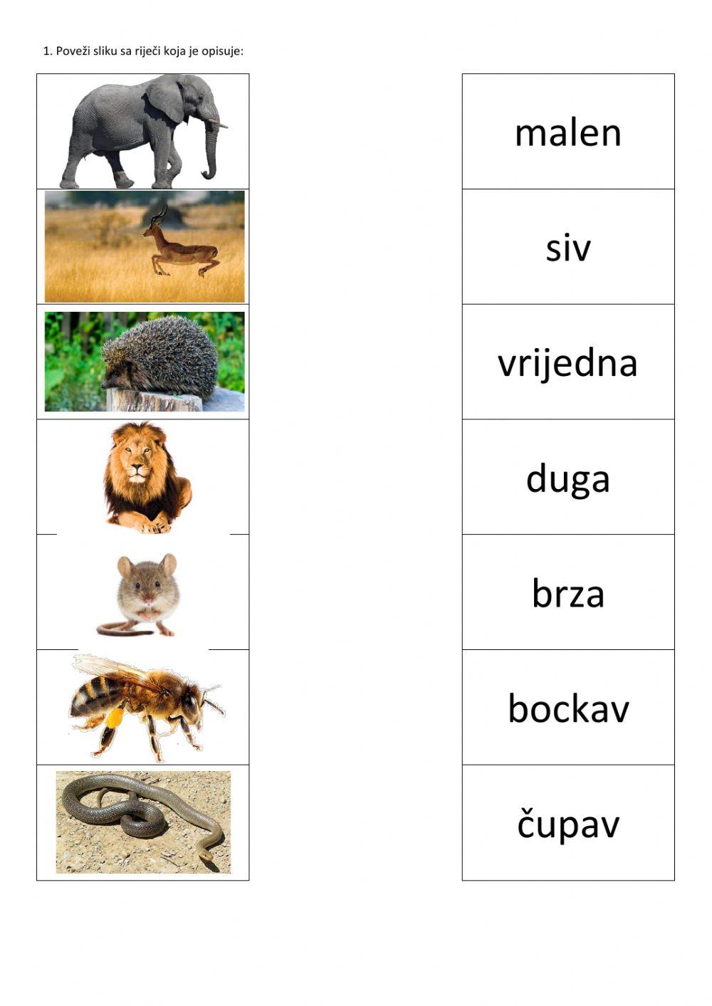 Povezivanje slike i osobine