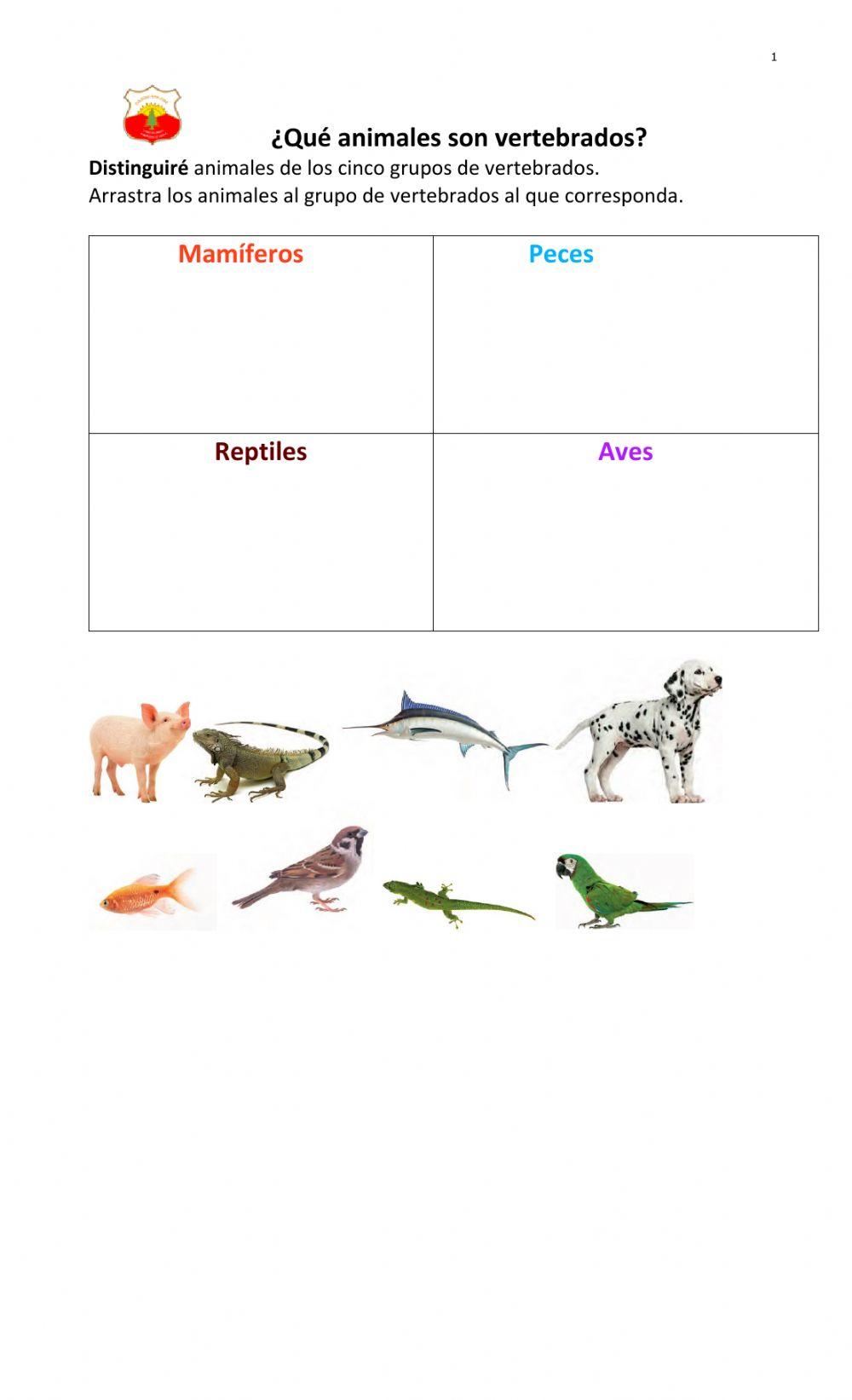 Clasifico  animales vertebrados