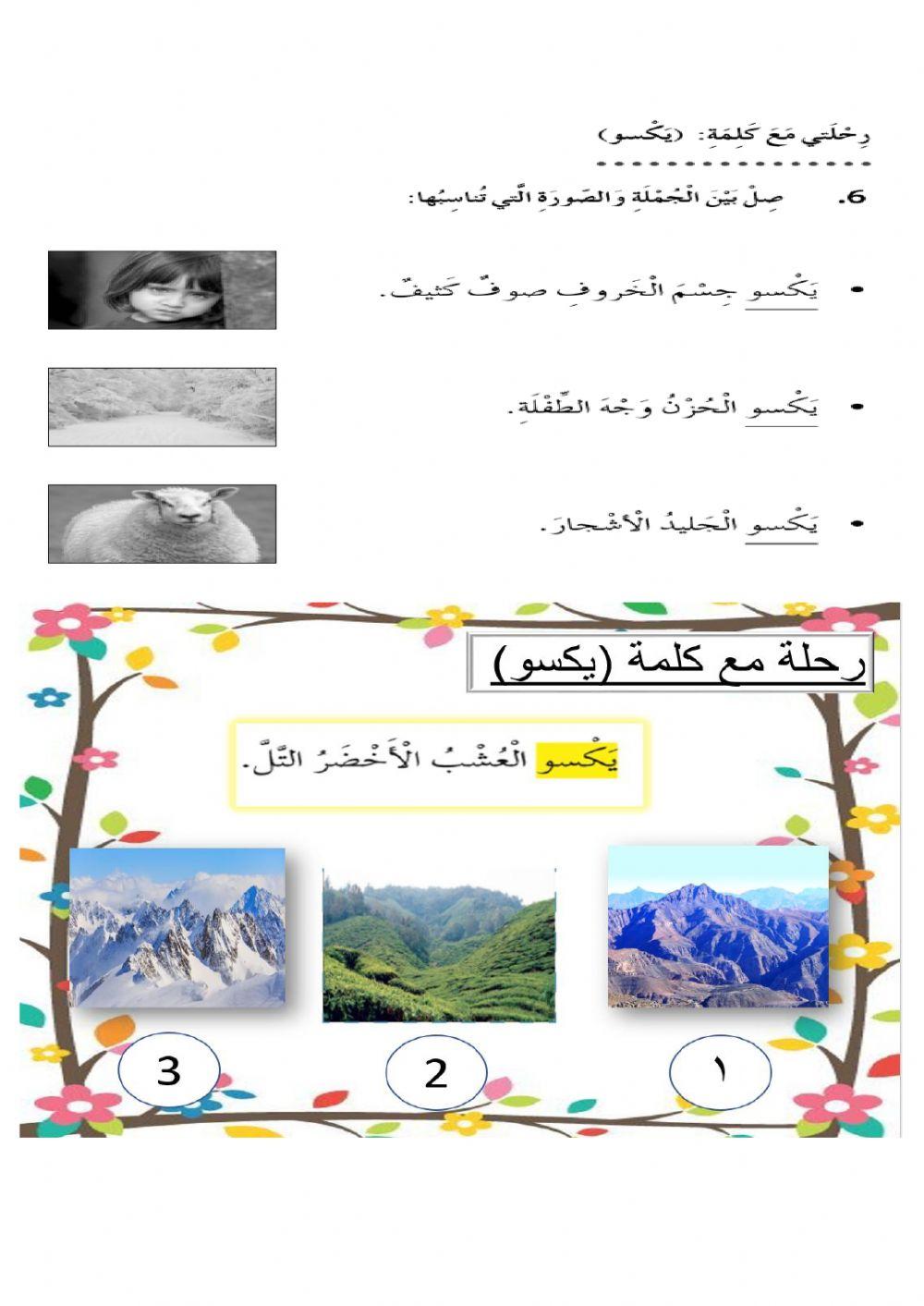 رحلتي مع كلمة يكسو