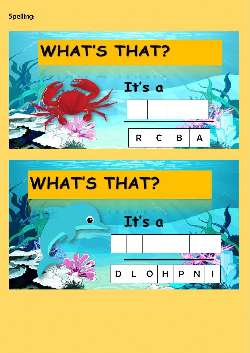 A sailor went to sea