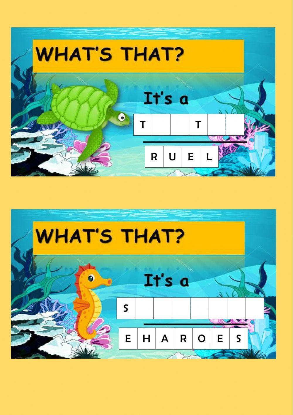 A sailor went to sea