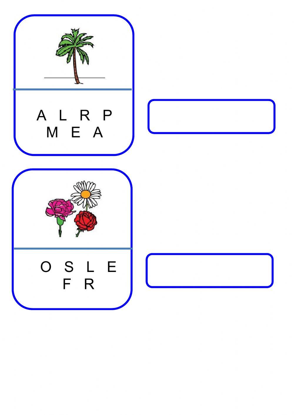 Conciencia fonológica