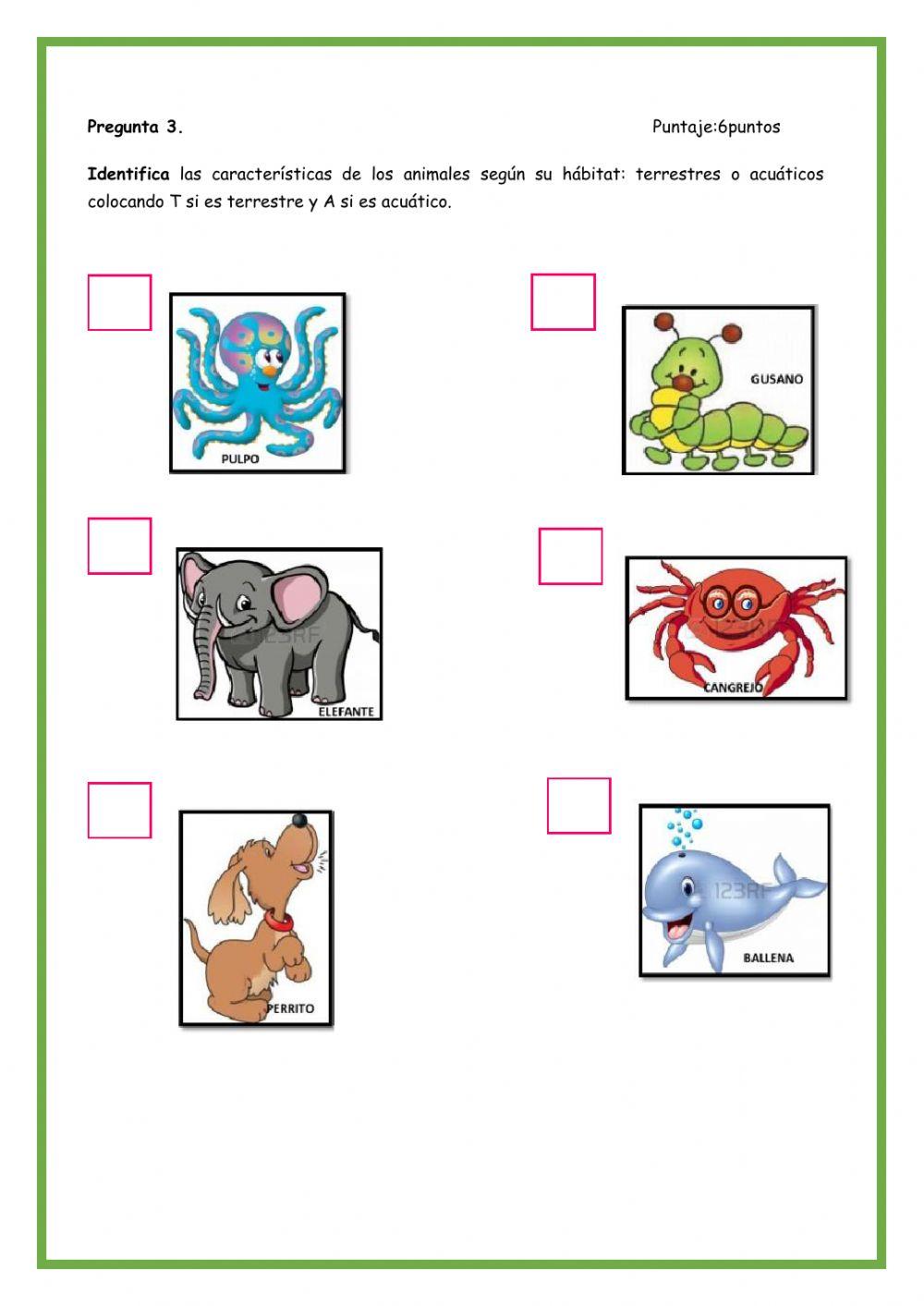 Práctica Calificada Ciencia y Tecnología: Animales según hábitat