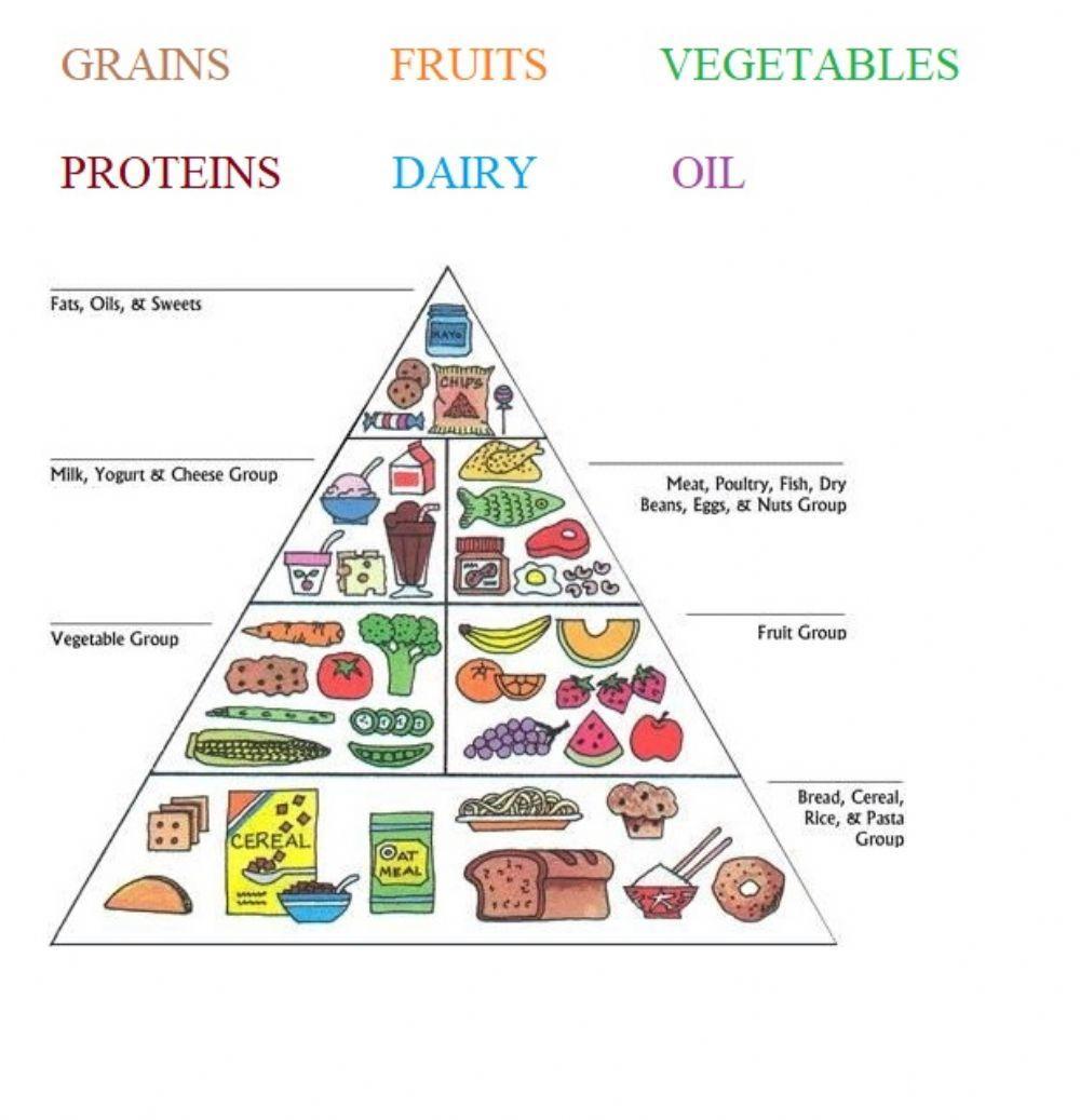 Food pyramid