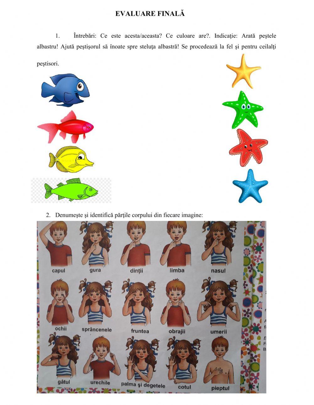 Evaluare culori, forme, obiecte identice, denumire obiecte