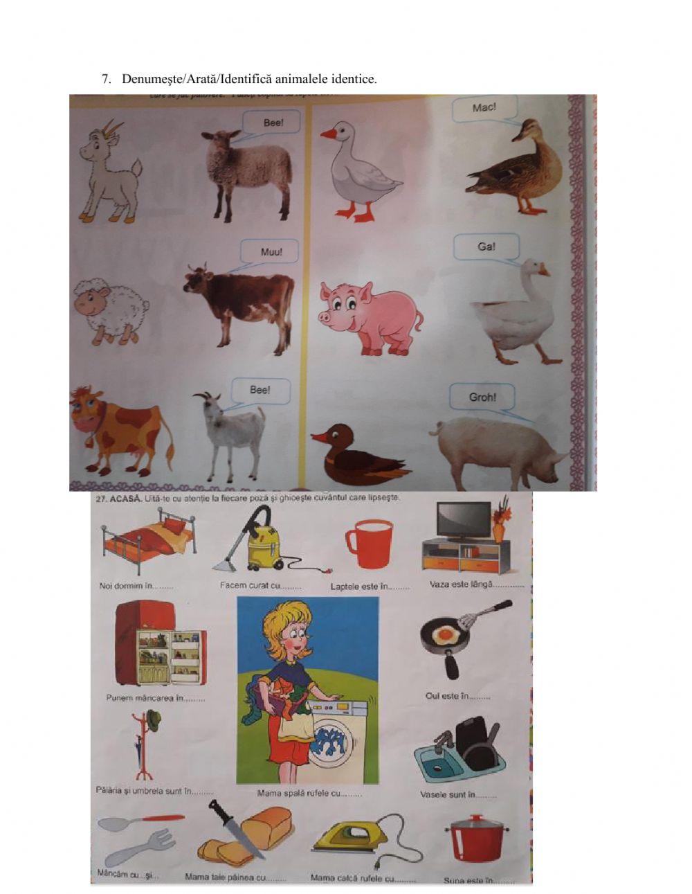 Evaluare culori, forme, obiecte identice, denumire obiecte