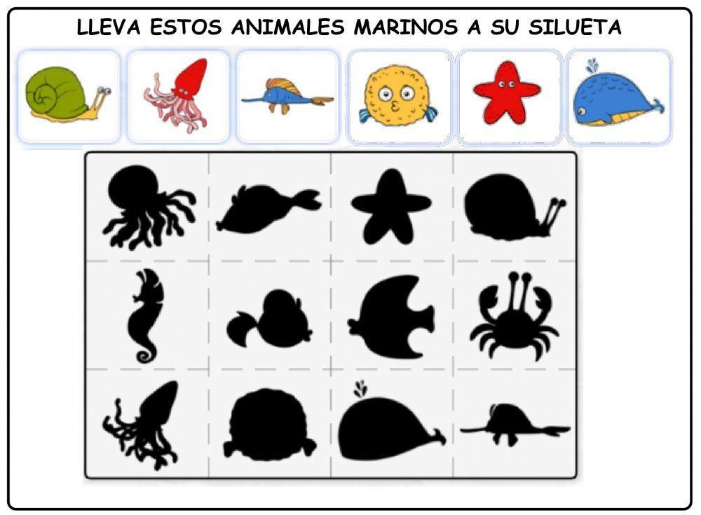 Siluetas animales marinos